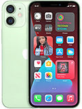 Apple iPhone 12 mini back