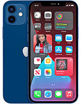 Apple iPhone 12 back